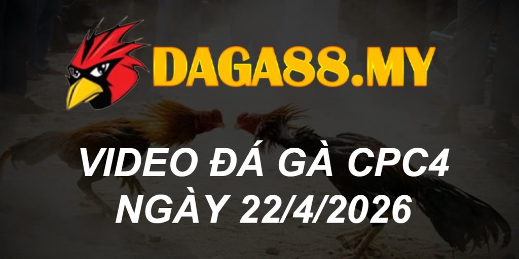 VIDEO GÀ CPC4 NGÀY 22/4/2026