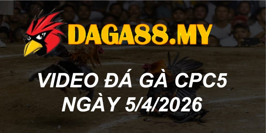 VIDEO GÀ CPC5 NGÀY 5/4/2026