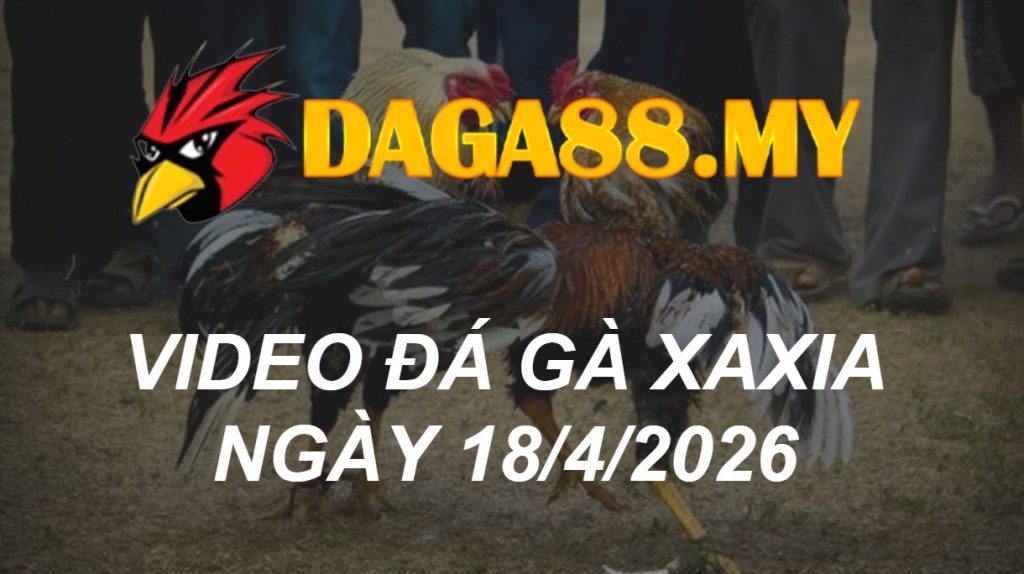 VIDEO GÀ XAXIA NGÀY 18/4/2026